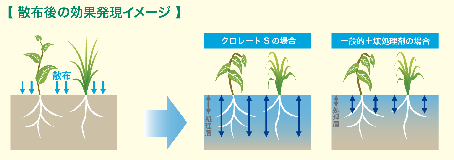 会津若松で製造補助・物流・厚生施設管理・緑地管理等の業務を担う会社です。 会津薬品産業株式会社 クロレートSの土壌における挙動